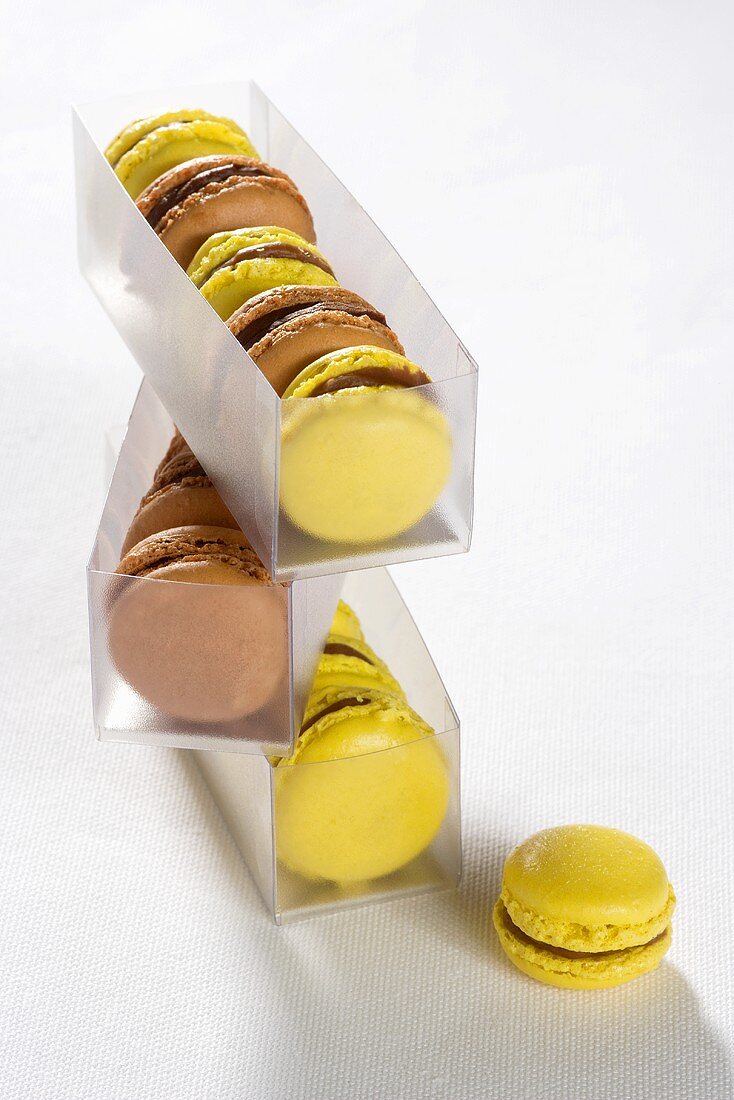 Schokoladen-Macarons und gelbe Macarons in Plastikbox