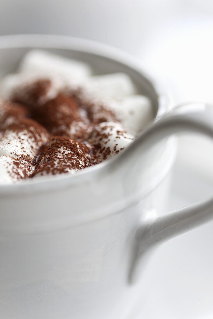 Cappuccino in Tasse (Ausschnitt)