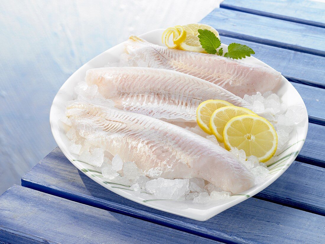 Hake fillets on ice