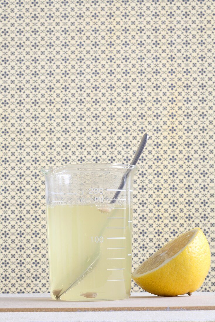 Lemon juice and half a lemon