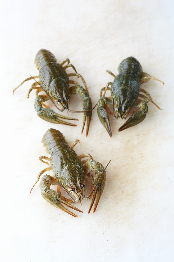 Three crayfish