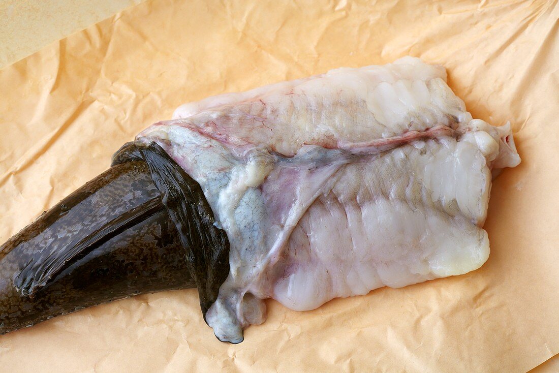 Monk fish being skined