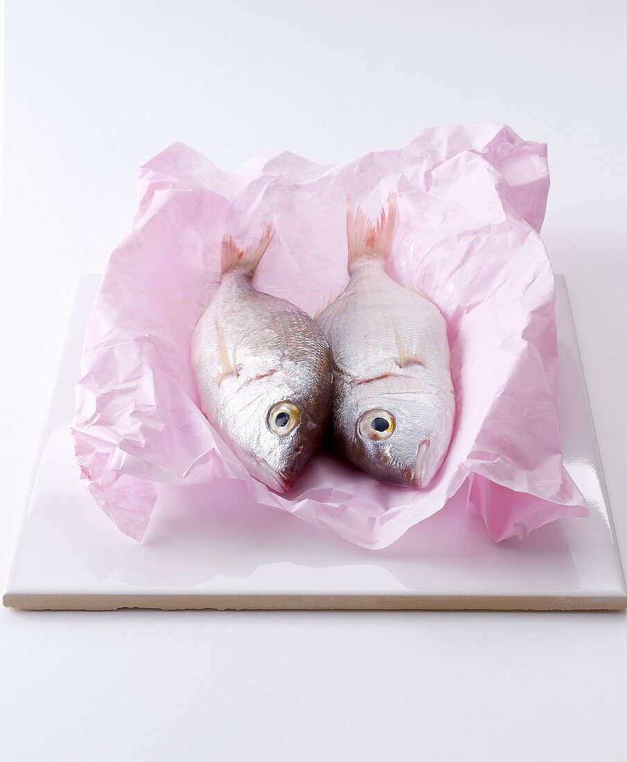 Two bream on a piece of paper