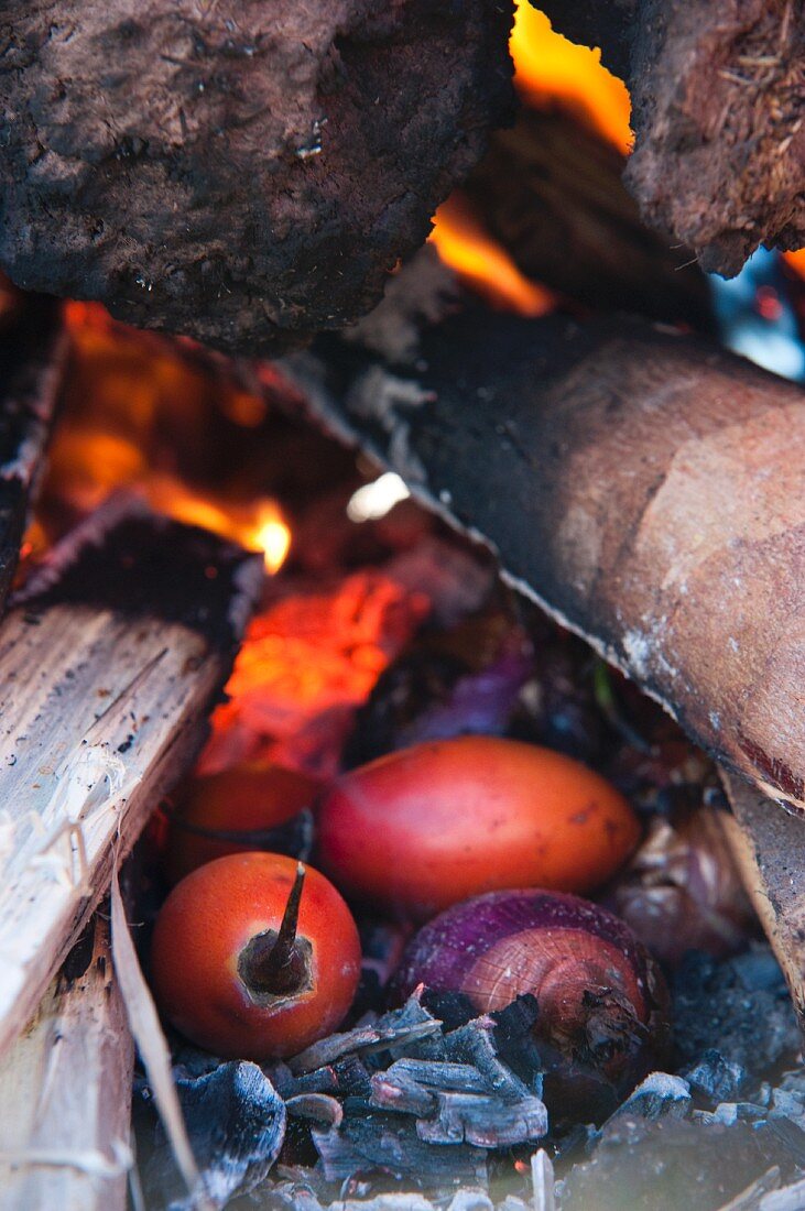 Tamarillos being baked in a cooking pit