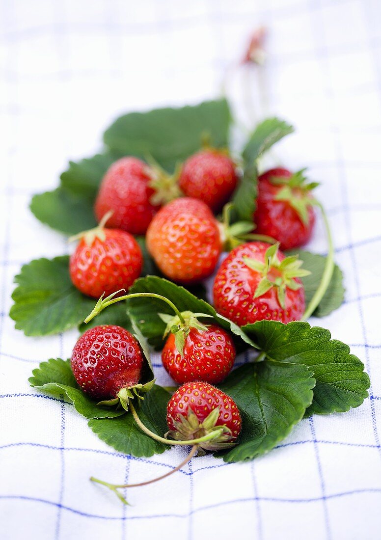 Fresh strawberries and leaves on a tea towel