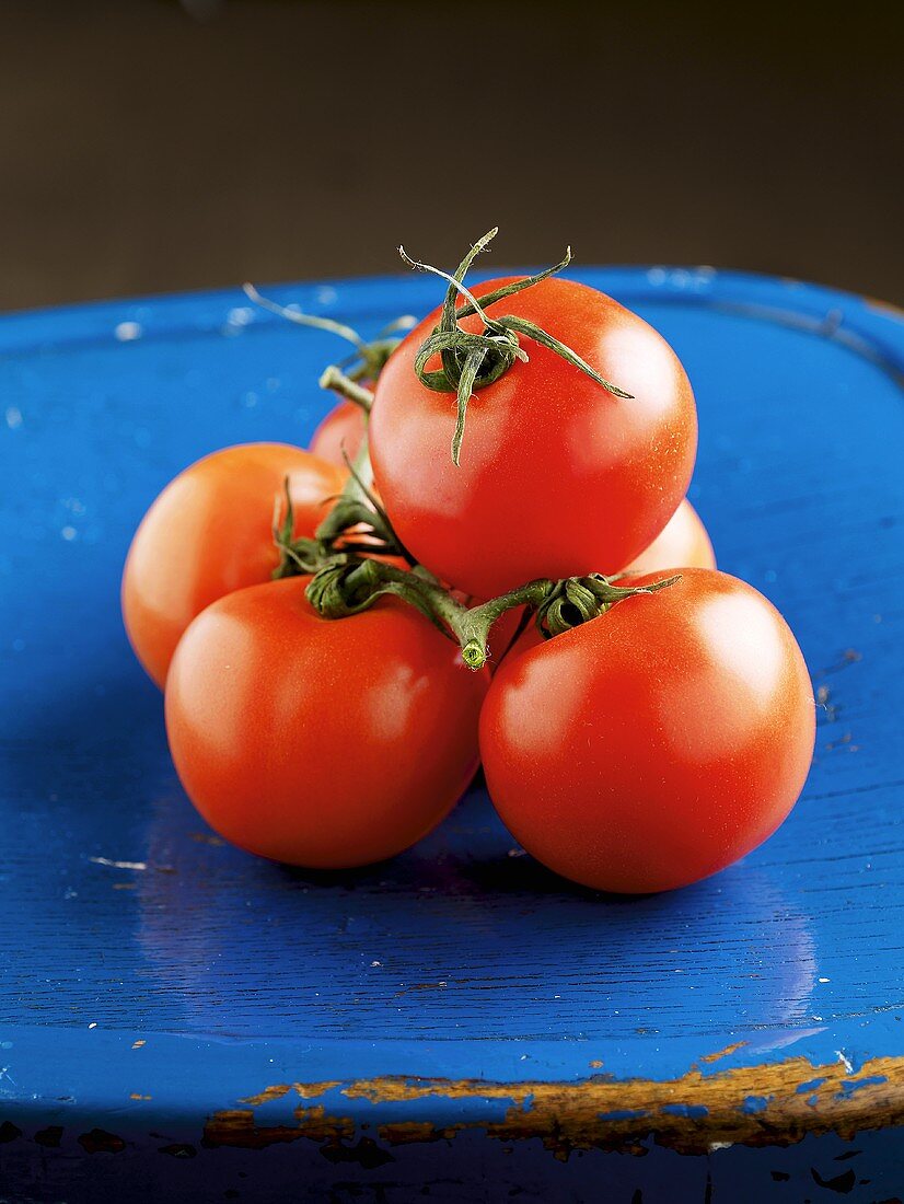 Tomaten auf blauem Holzstuhl