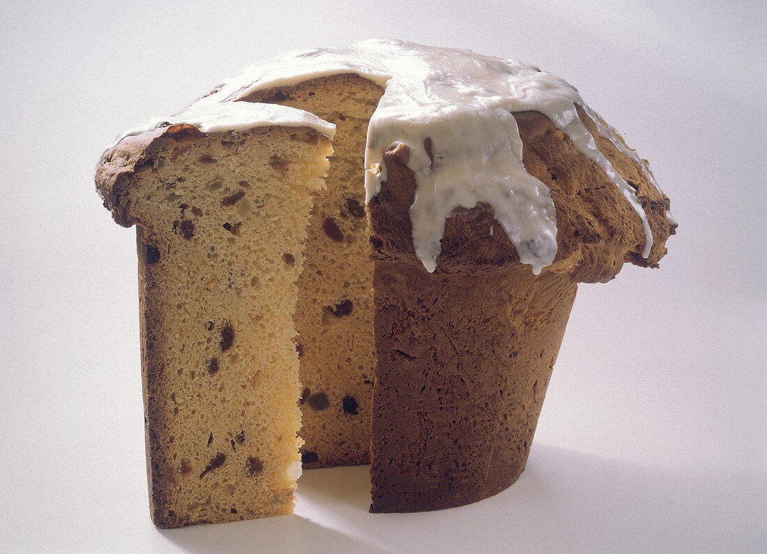 Panettone in a flowerpot (Christmas cake, Italy)