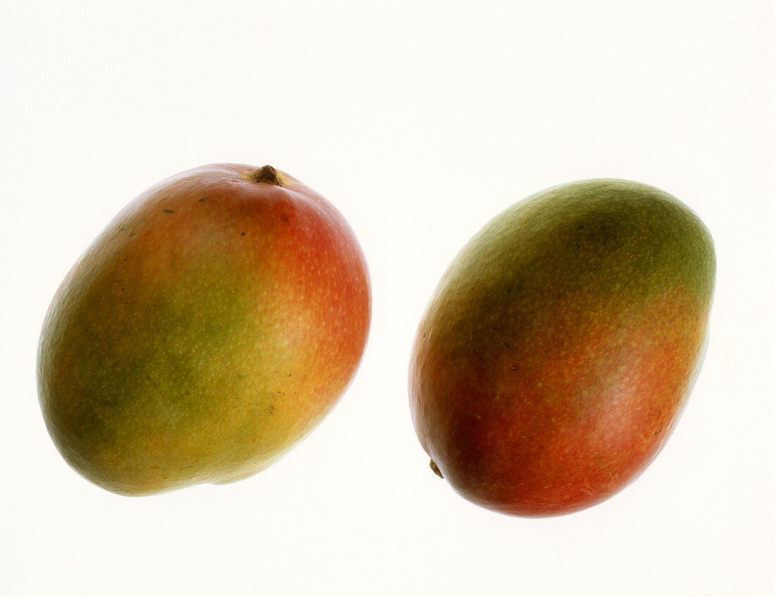 Mangos