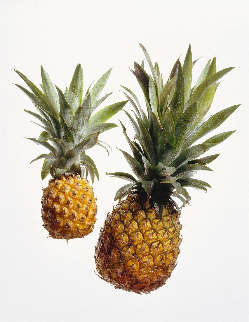 Pineapple & Baby Pineapple