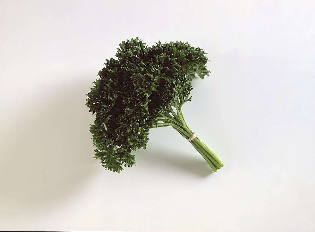 Bouquet of Fresh Parsley