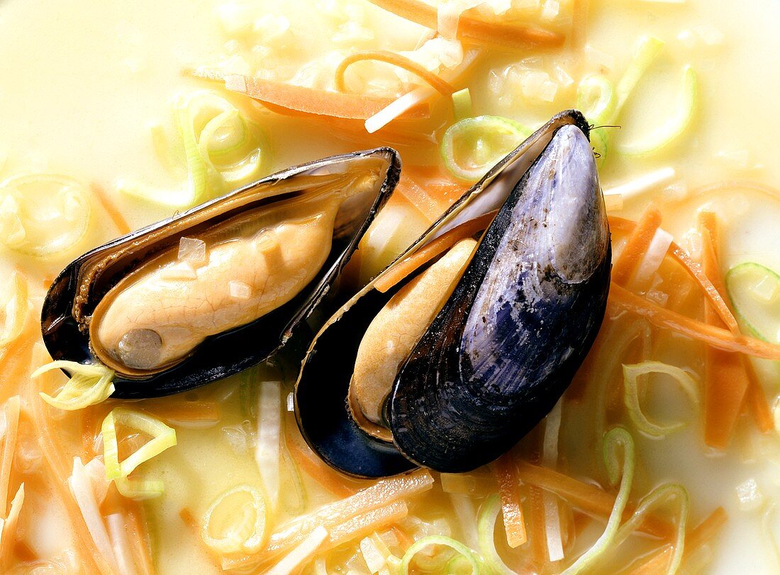 Blue Mussels Rhenish-style