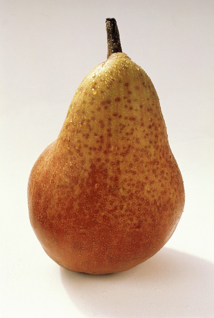 Single Williams Pear
