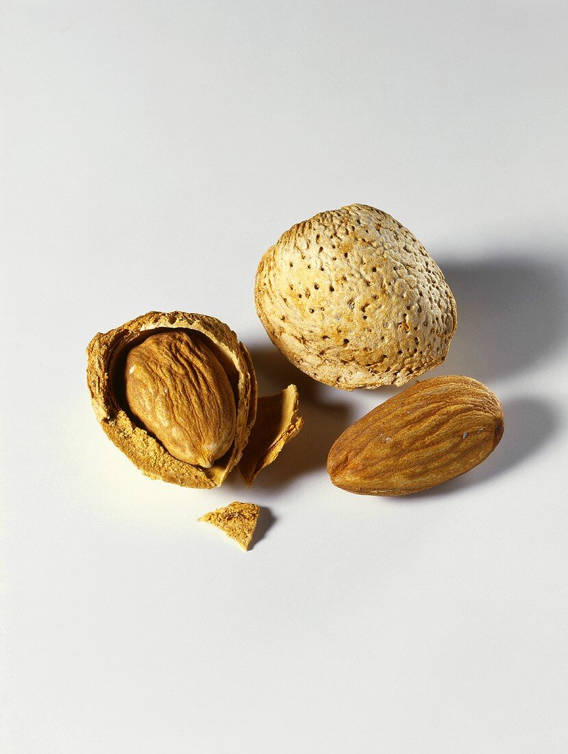 Almonds in and out of the Shell