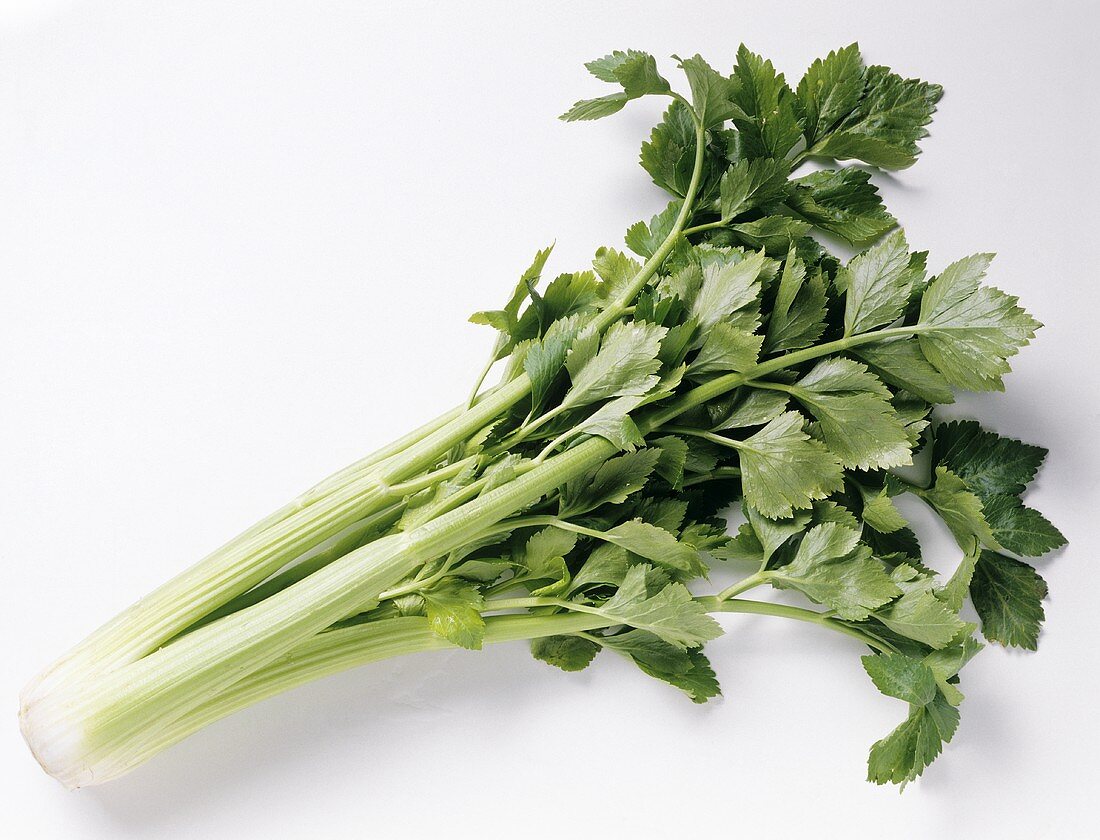 Green Celery