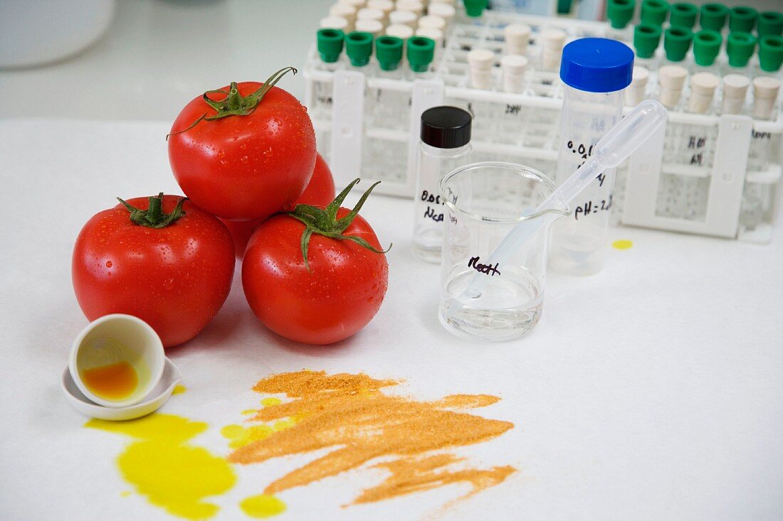 Functional biomolecules in food extraction, Tomatoe extract, Euskadi, Spain