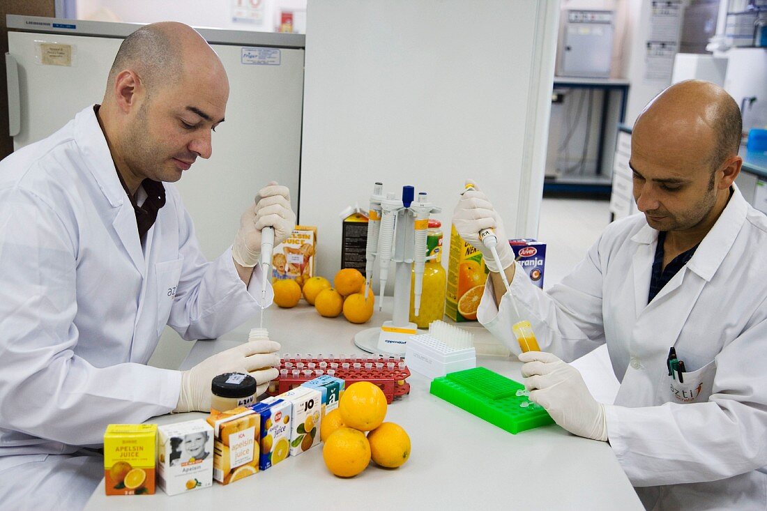 Preparing samples to detect the addition of tangerine to orange juice with DNA techniques, Euskadi, Spain