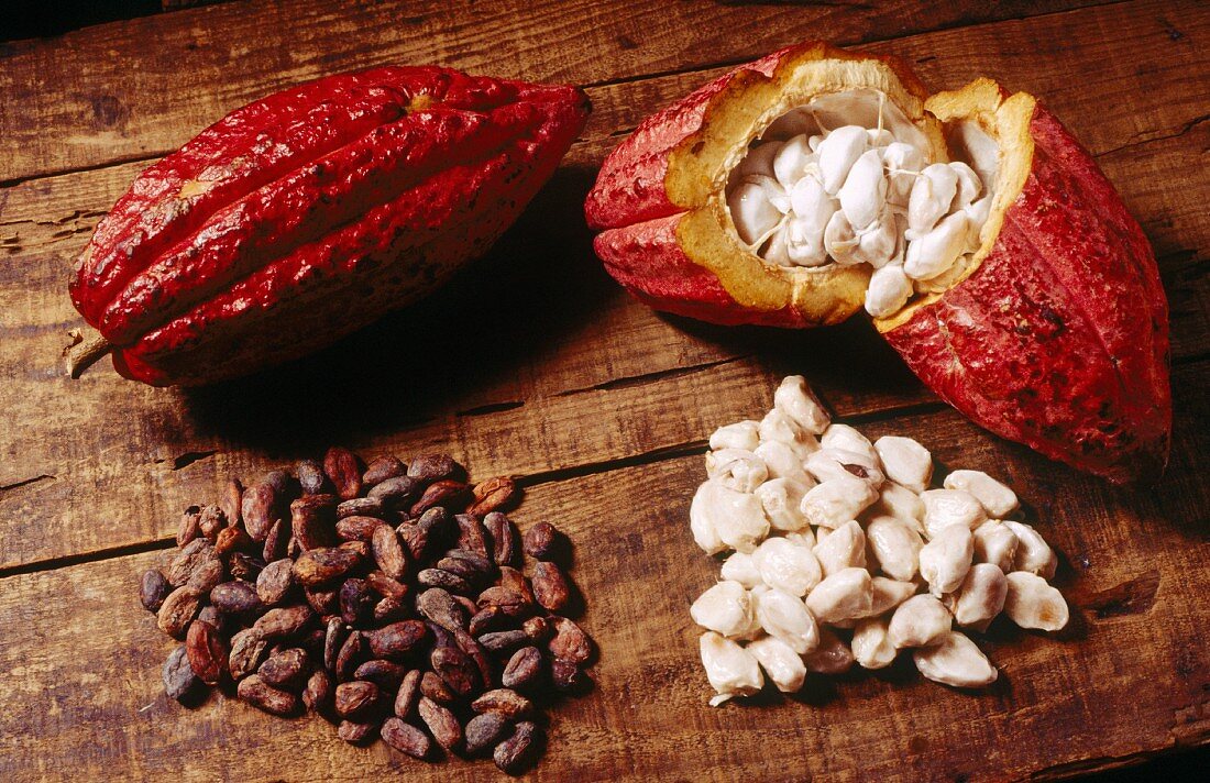 Cocoa, Grenada