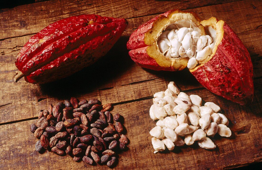 Kakaofrucht und -bohnen