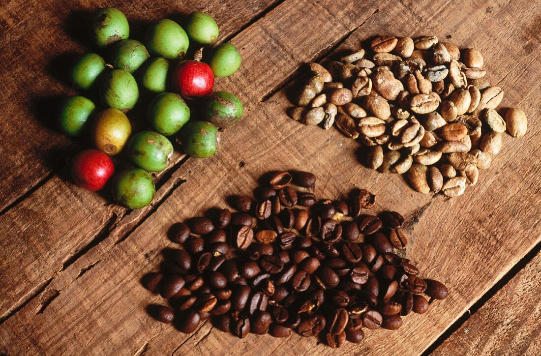 Kaffeekirschen, geröstete und ungeröstete Kaffeebohnen