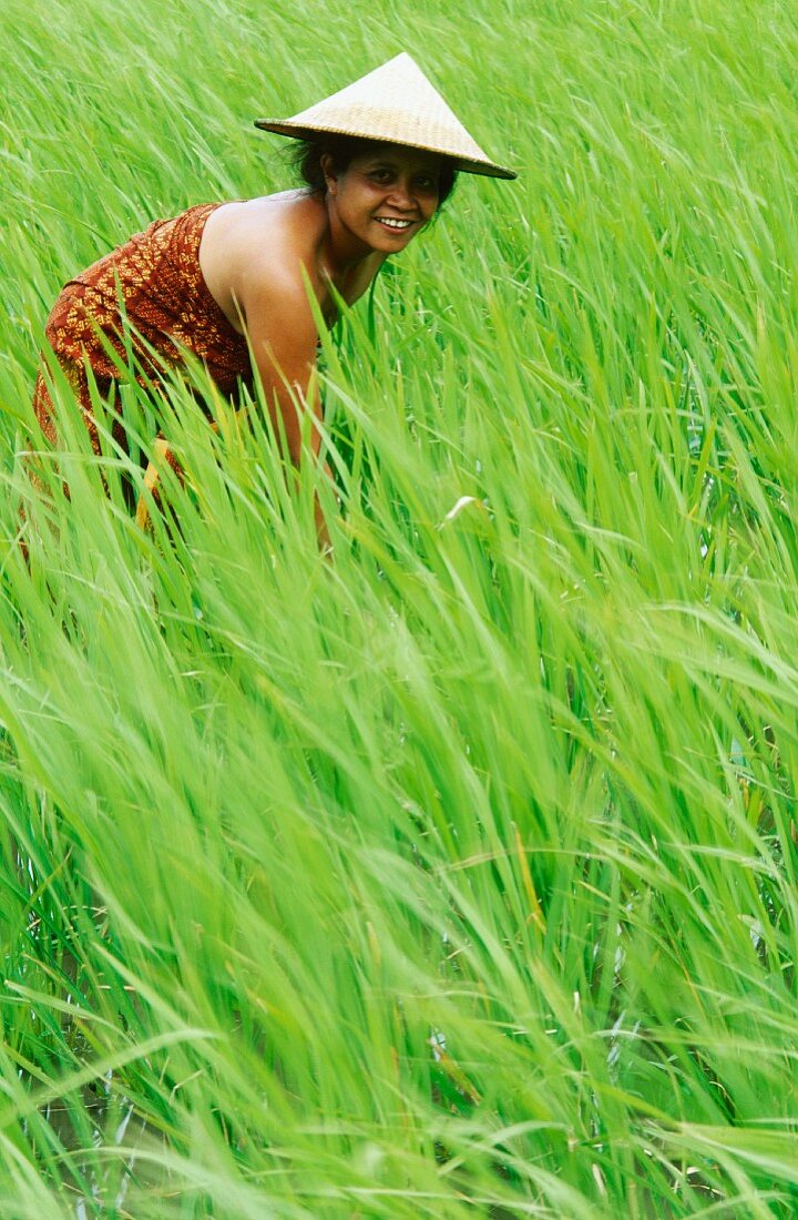 Woman in paddy field, Bali, Indonesia