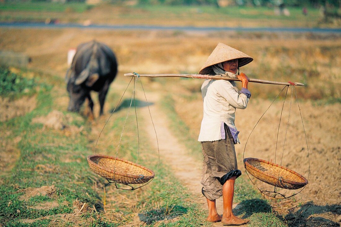 Vietnamesin trägt Stange mit zwei Körben