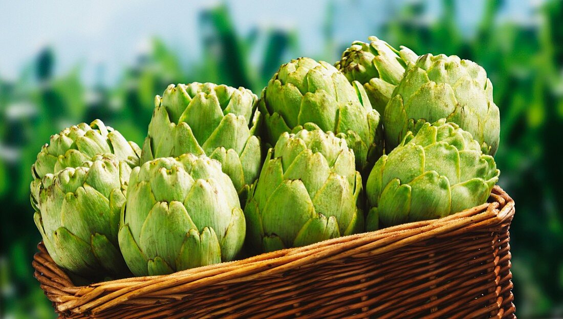 Artichokes