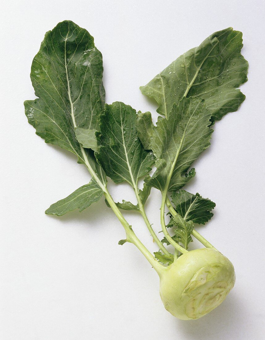 Fresh Turnip Cabbage