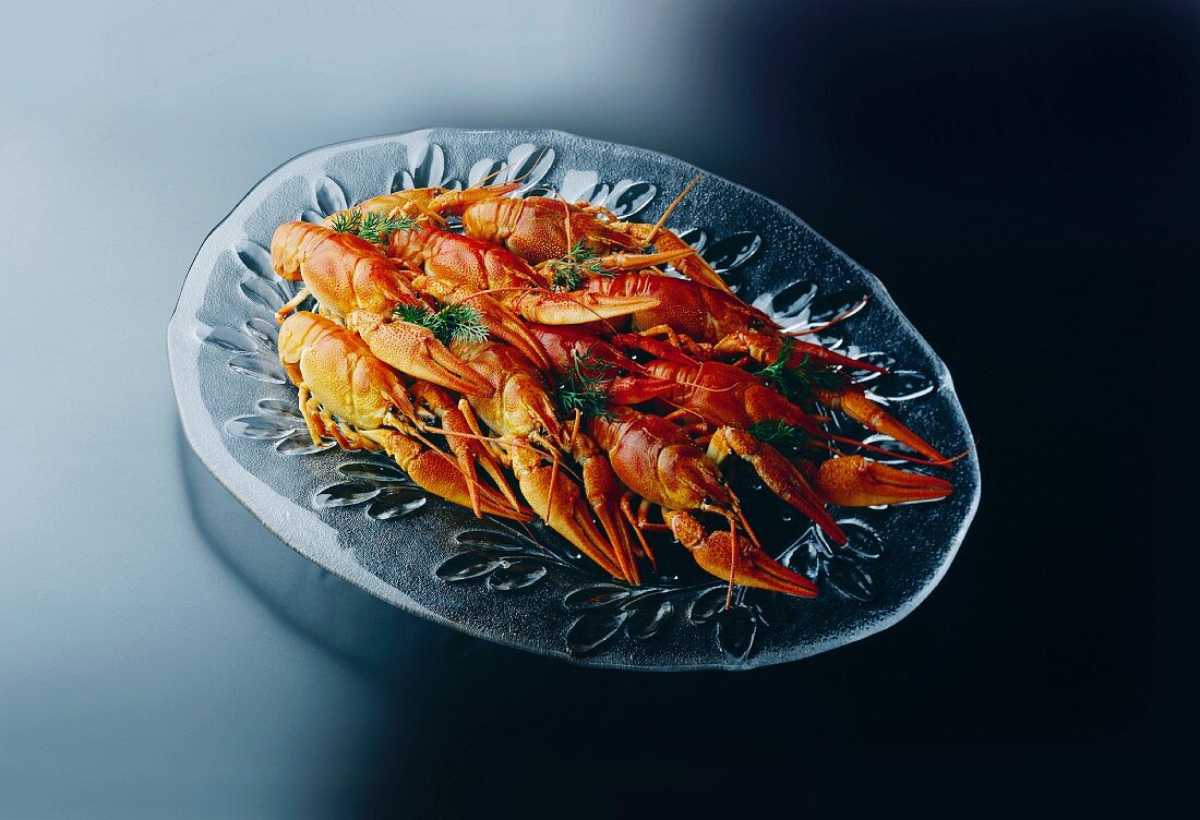 Boiled Crayfish on a Glass Plate