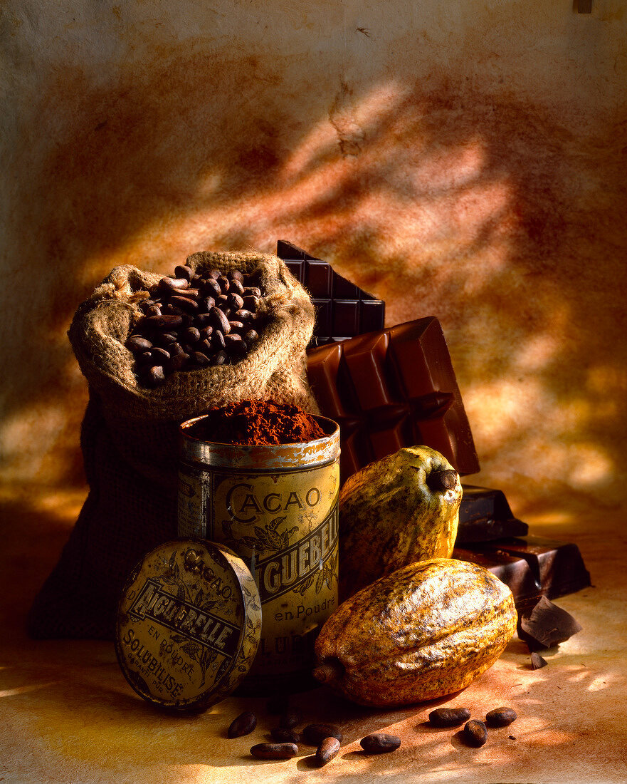Stillleben von Kakaofrüchten, Kakaobohnen, Kakaopulver und verschiedener Schokolade