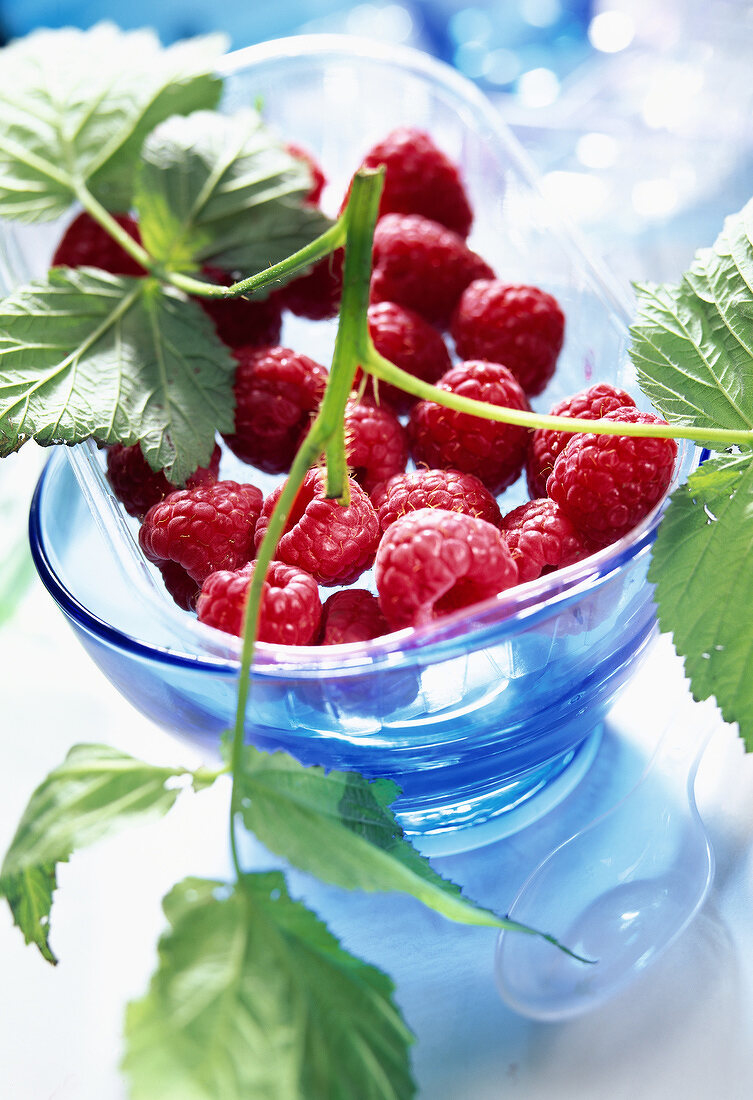 dish of fresh raspberries