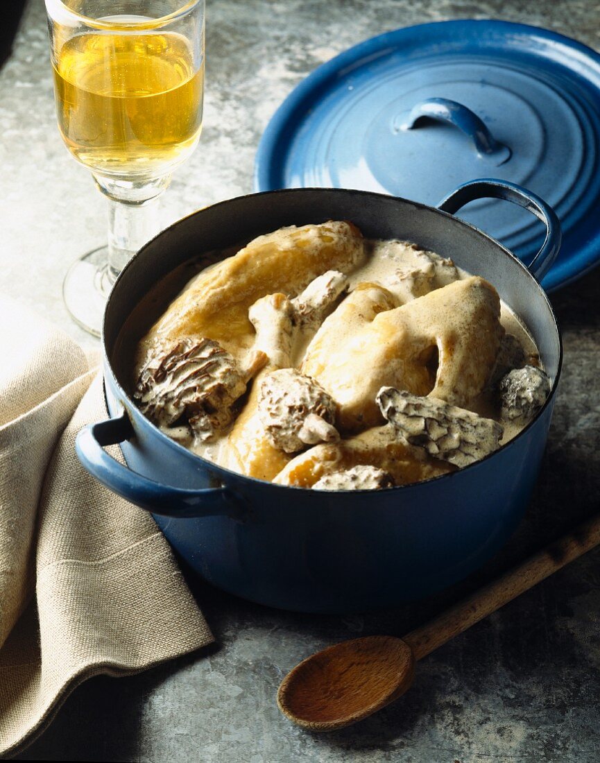 Chicken with morels and white wine
