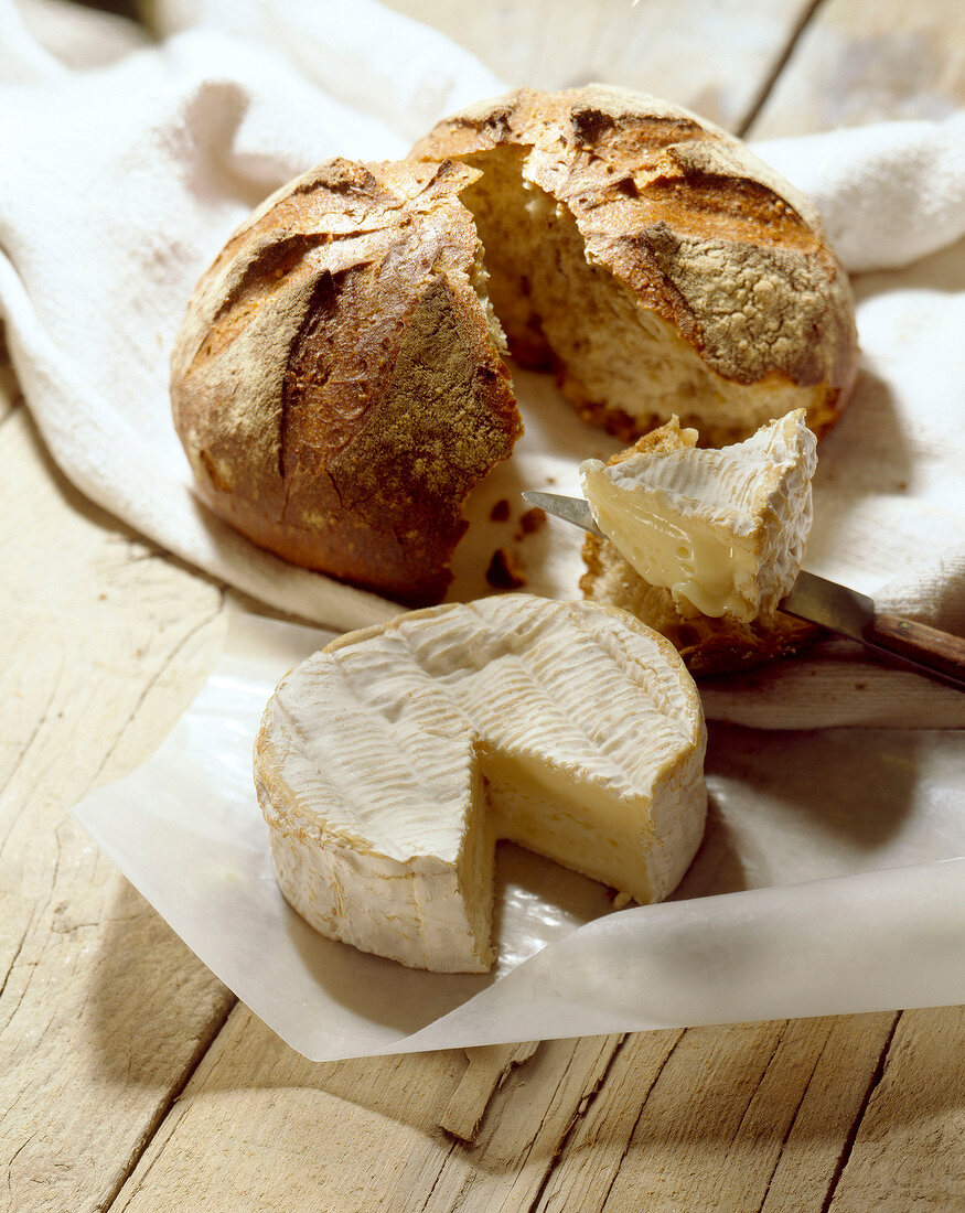 Camembert mit rustikalem Brot und Messer