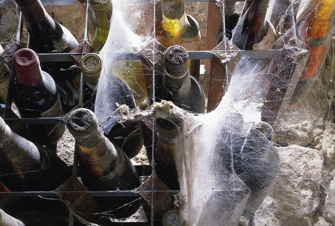 Weinflaschen mit Spinnweben im Weinkeller