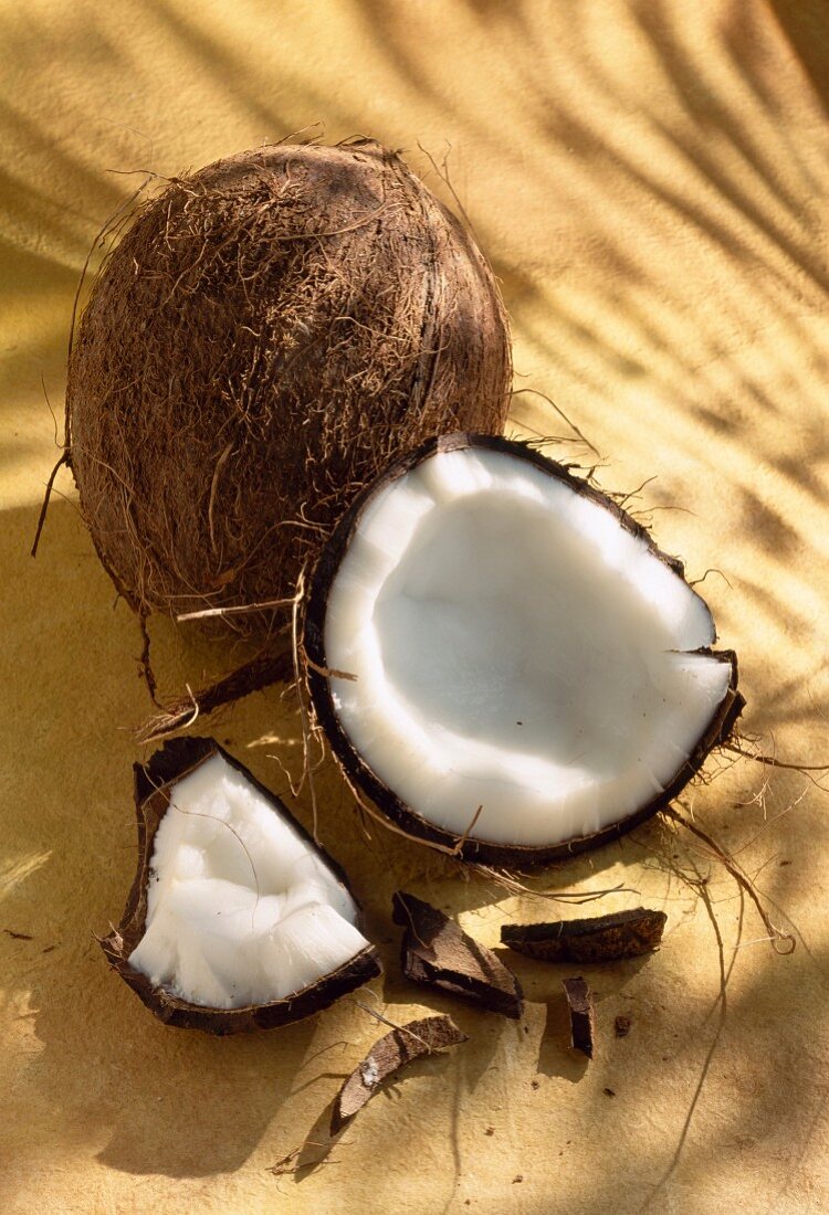 Ganze Kokosnuss mit geöffneter Kokosnuss daneben