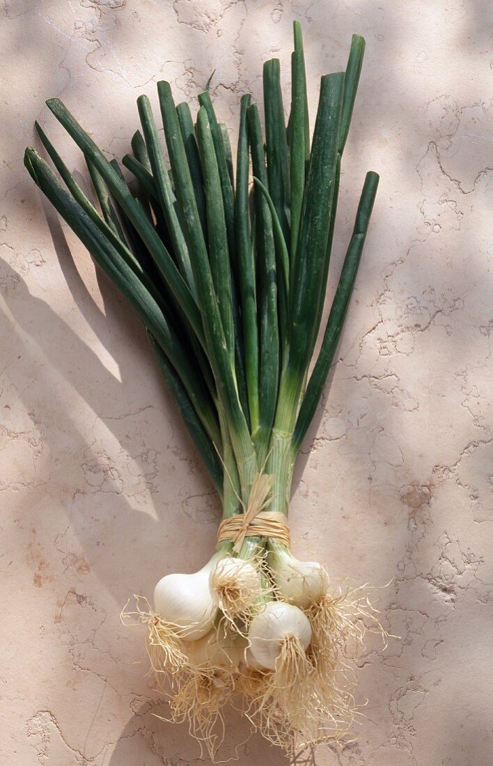 spring onions (topic: Lenôtre's garden)