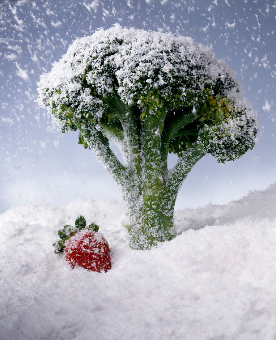 Brokkoli-Bäumchen im Schnee mit Erdbeere