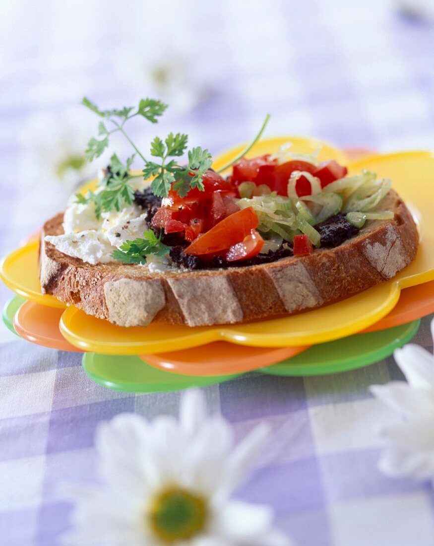 Cheese and salad open sandwich