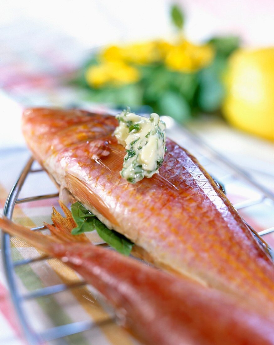 Rotbarben mit Basilikumbutter, fertig zum Grillen