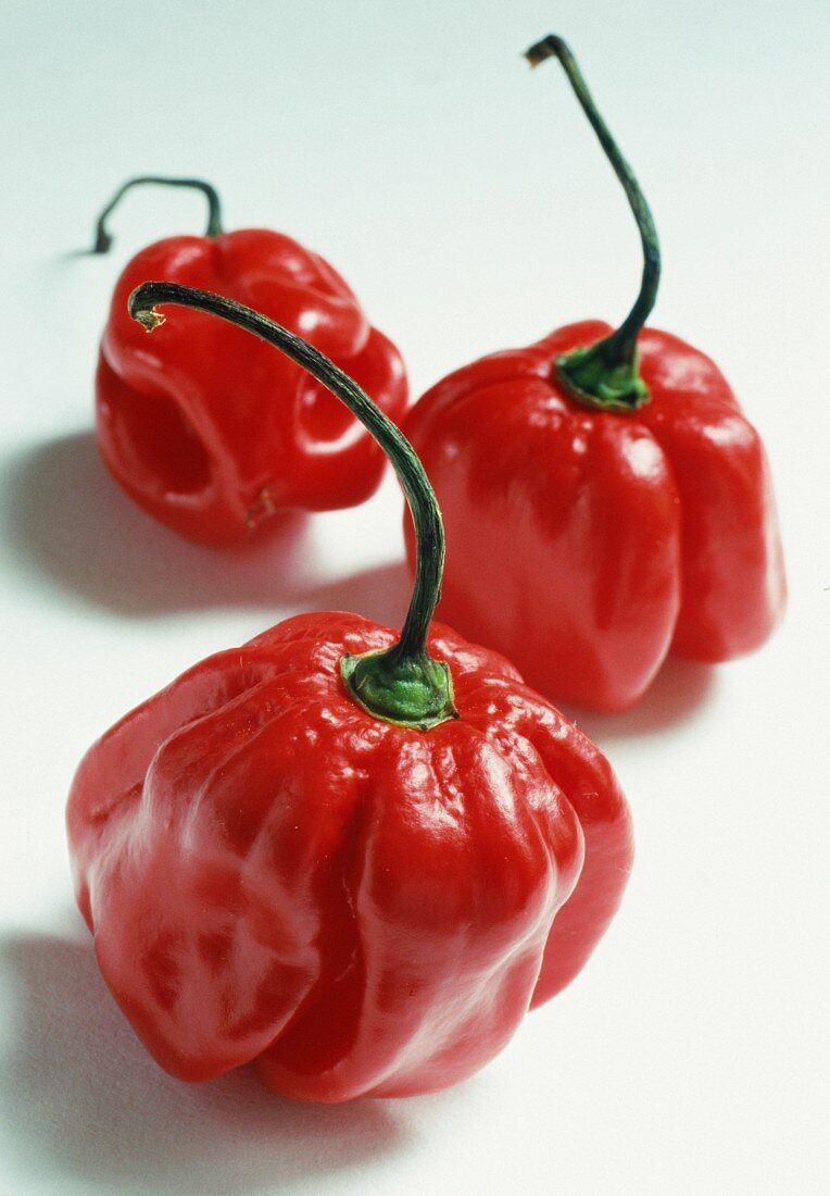 Drei rote Habaneros