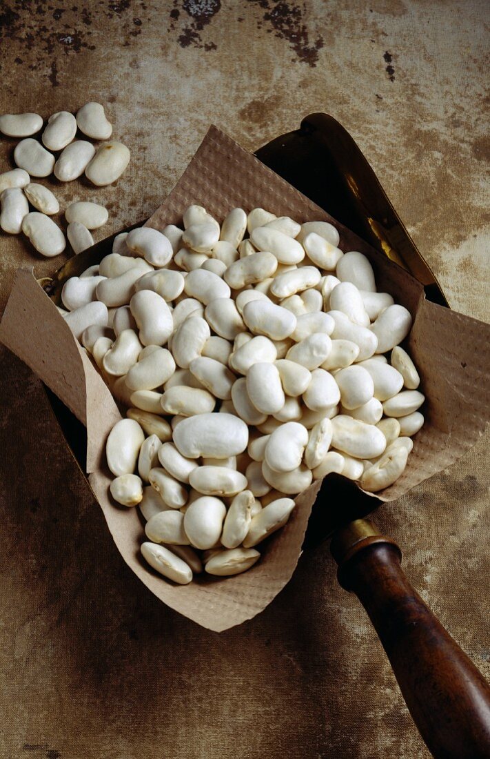 Soisson white beans