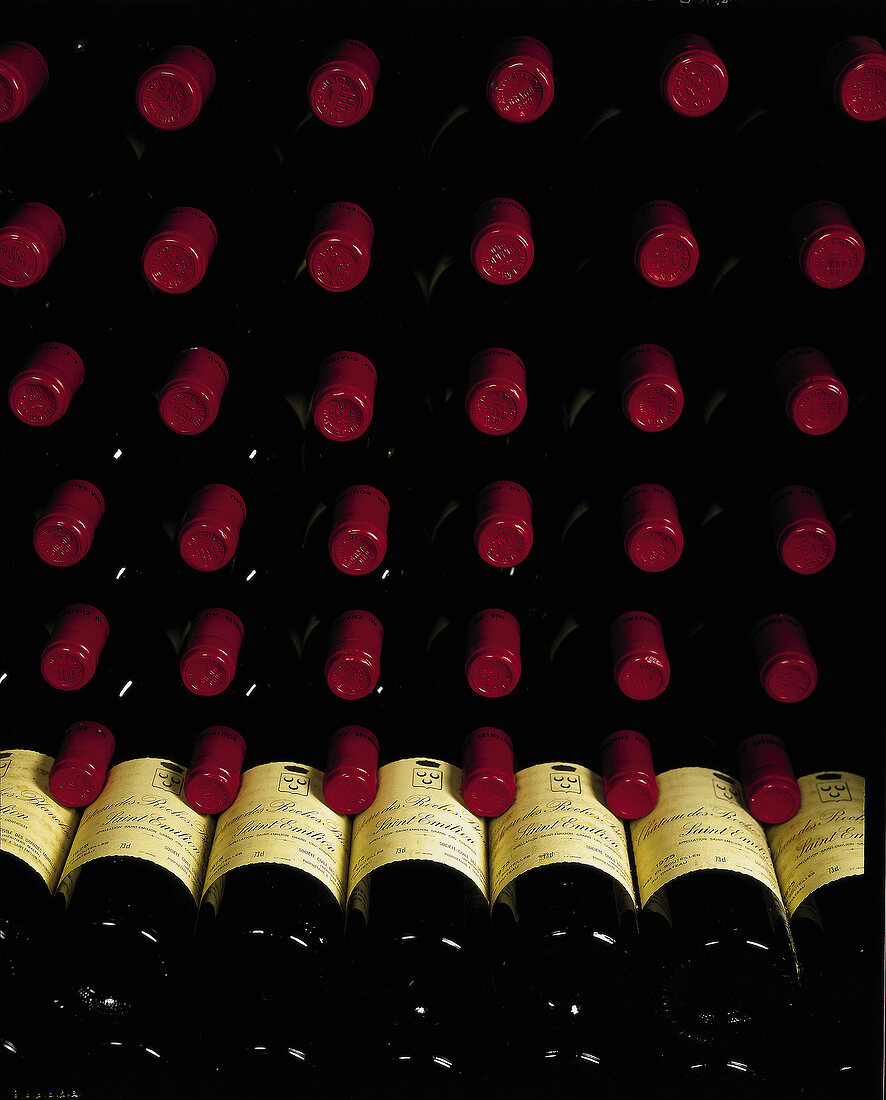 bottles of wine in rack