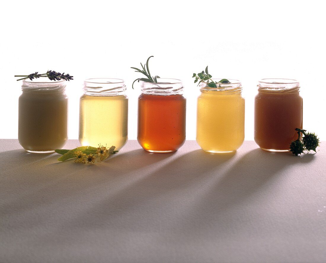 Fünf verschiedene Honigsorten im Glas mit den jeweiligen Geschmacks-Zutaten