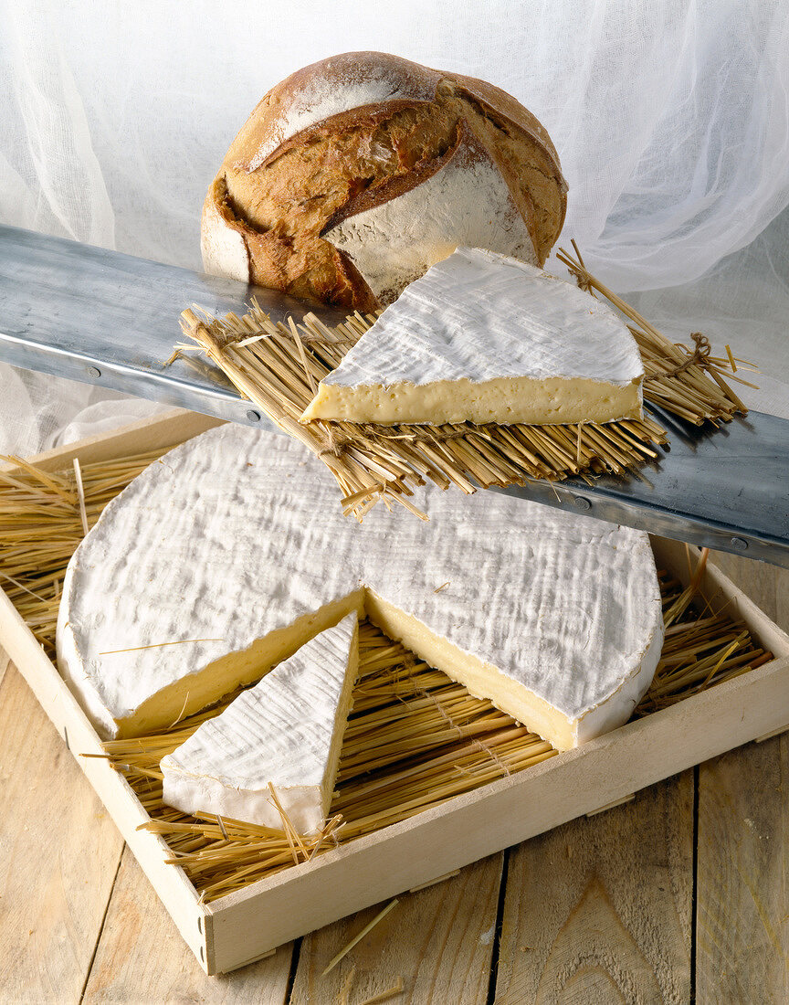 Grosser, angeschnittener Brie auf Strohmatte mit Brot