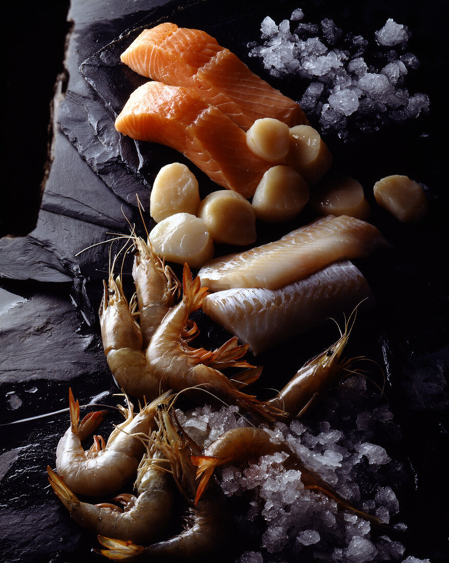Frische Fischfilets, Muschelfleisch und Garnelen mit Eis