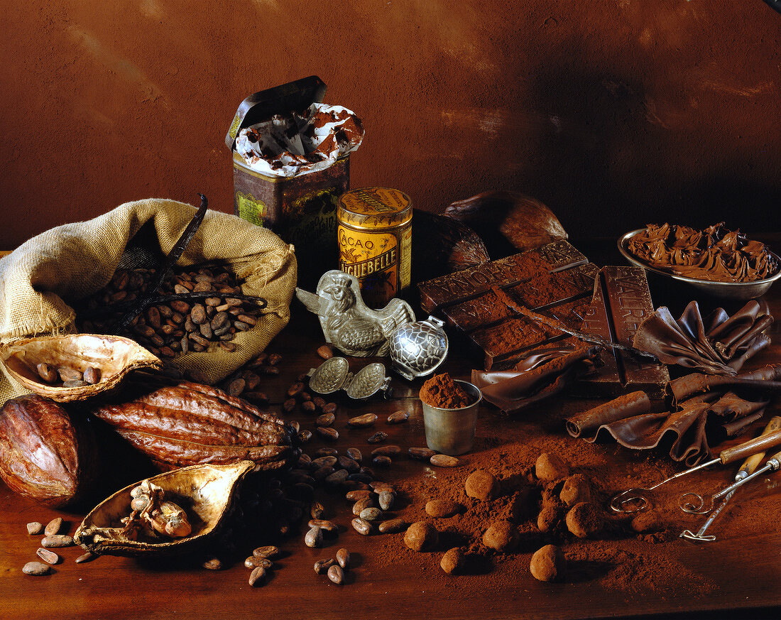 Stillleben mit verschiedenen Kakaoprodukten (Kakaobohnen, Kakaofrüchte, Schokolade, Kakaopulver)