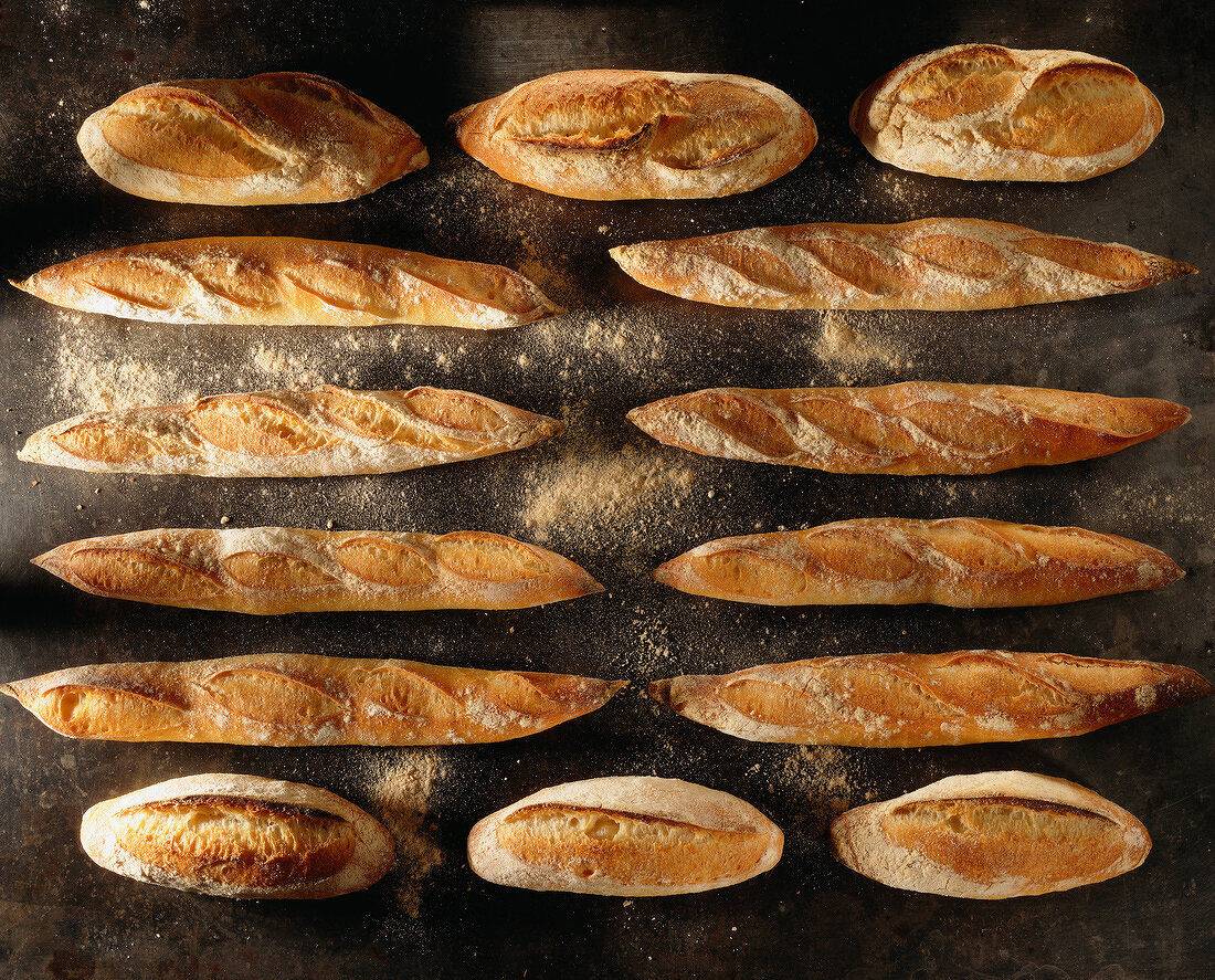 baguettes and loaves of country bread