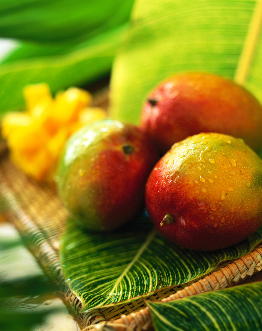 mangos