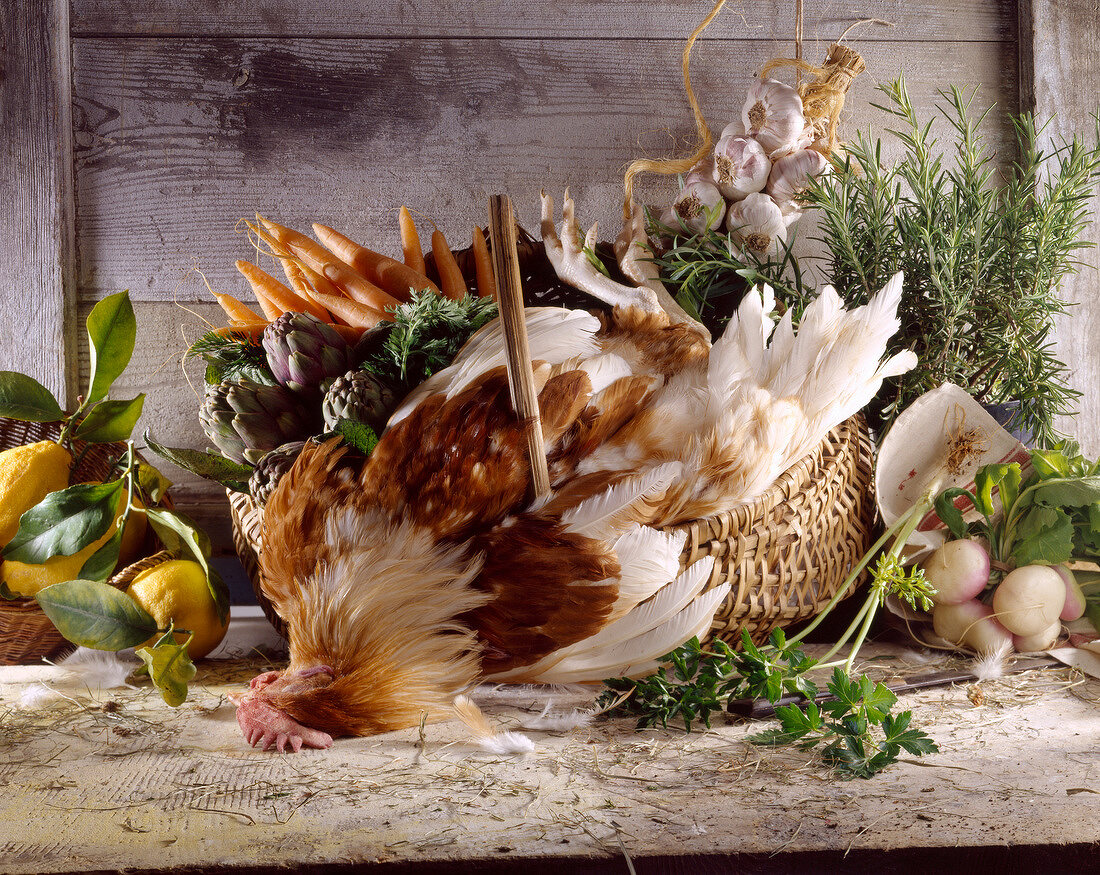 Stillleben mit ungerupftem Huhn vor Korb mit frischem Gemüse