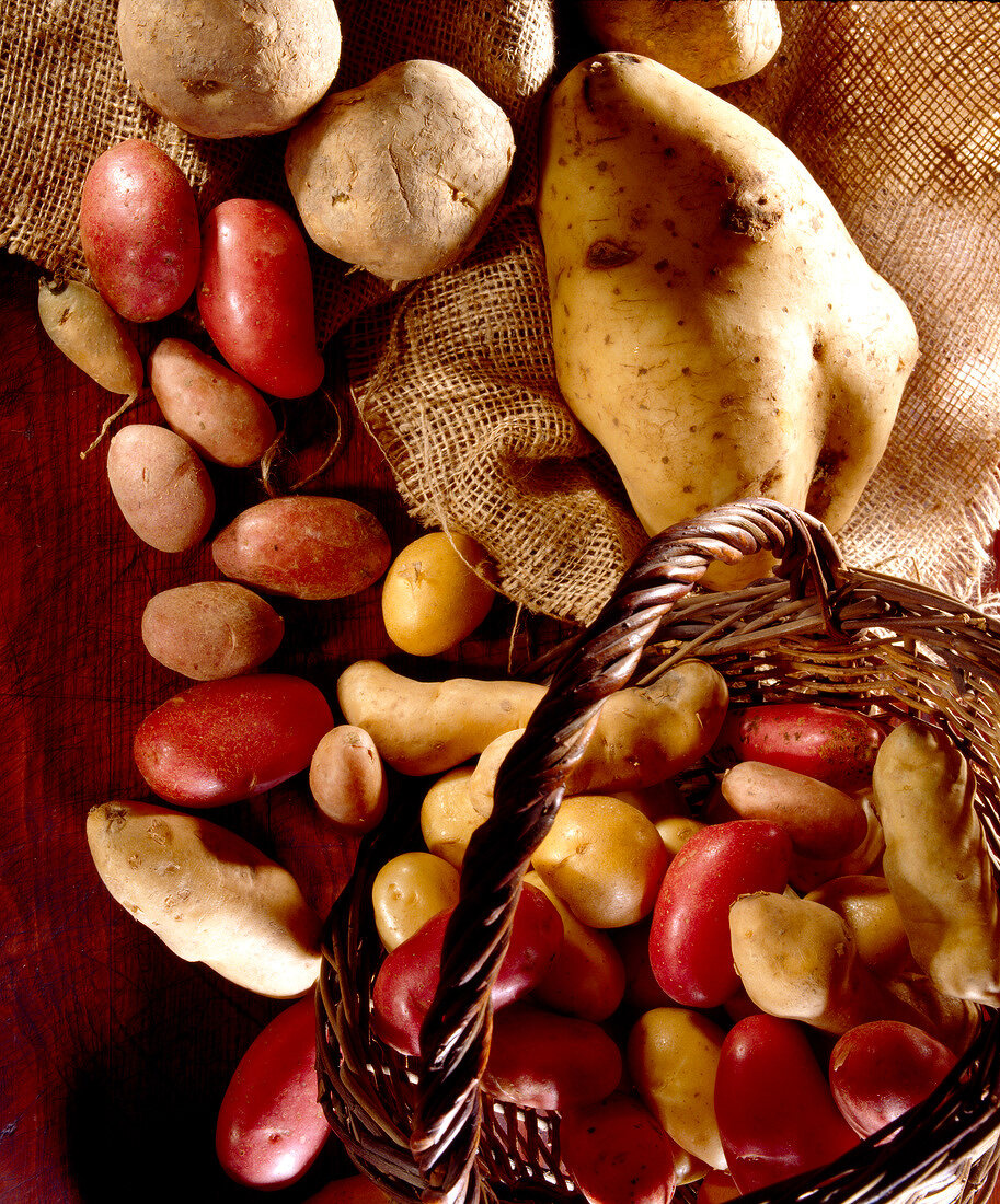Stillleben mit verschiedenen Kartoffelsorten