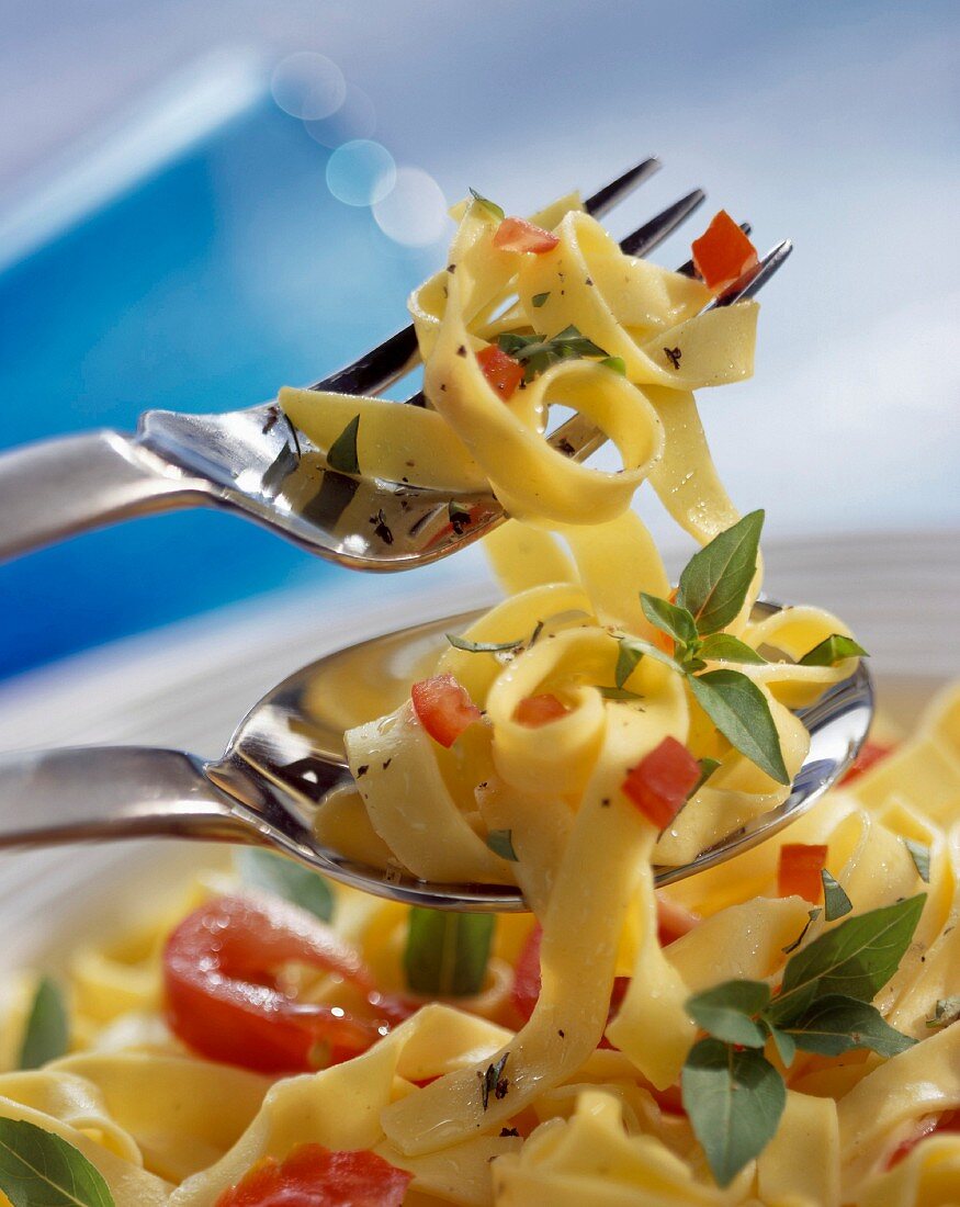 Fettucini pasta with tomato and basil